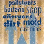 Why Regular Professional Cleaning Is Necessary  To Keep Carpets Fresh & Hygienic