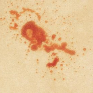 Specialty Stain Removal | Because Some Stains Are Harder To Remove Than Others
