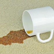 How To Clean Coffee Spills And Stains | A    Guide By All Star Chem-Dry