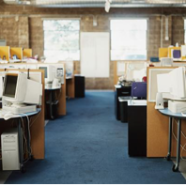 Managing Allergies In The Workplace    A Guide By All Star Chem-Dry