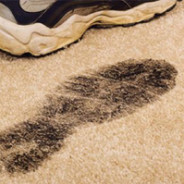 How to Tackle the  Winter Carpet Blues
