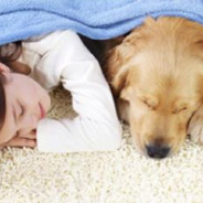 Natural Carpet Cleaning for Pets